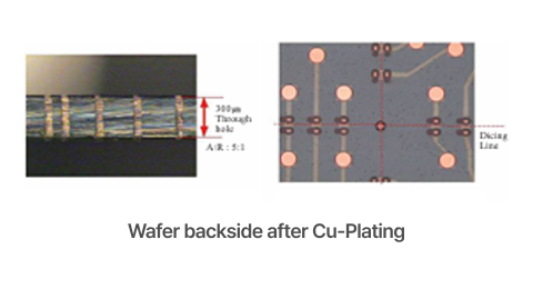 Wafer backside after Cu-Plating