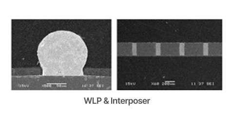 WLP & Interposer
